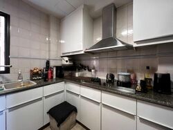Dover Parkview (D5), Condominium #570644161